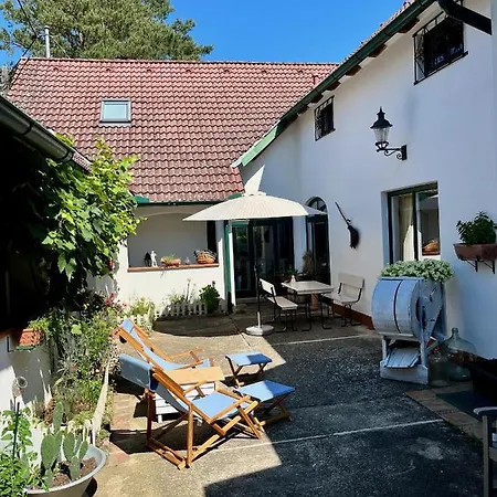 Derhofrat Apartment Litzelsdorf Exterior photo